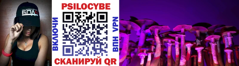 где купить   Курганинск  Псилоцибиновые грибы Psilocybine cubensis 